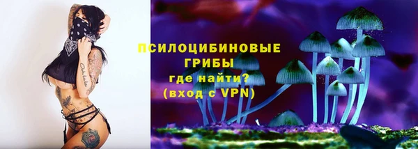 мет Карпинск
