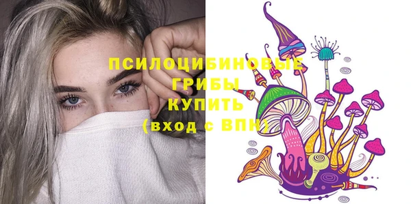 мет Карпинск